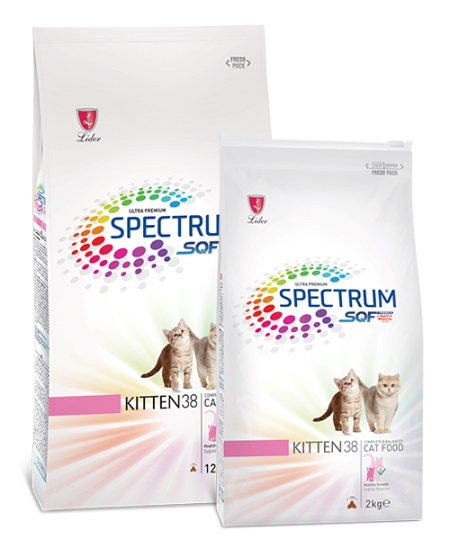 spectrum kitten
